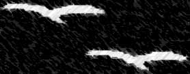 2birds1.jpg (10887 bytes)